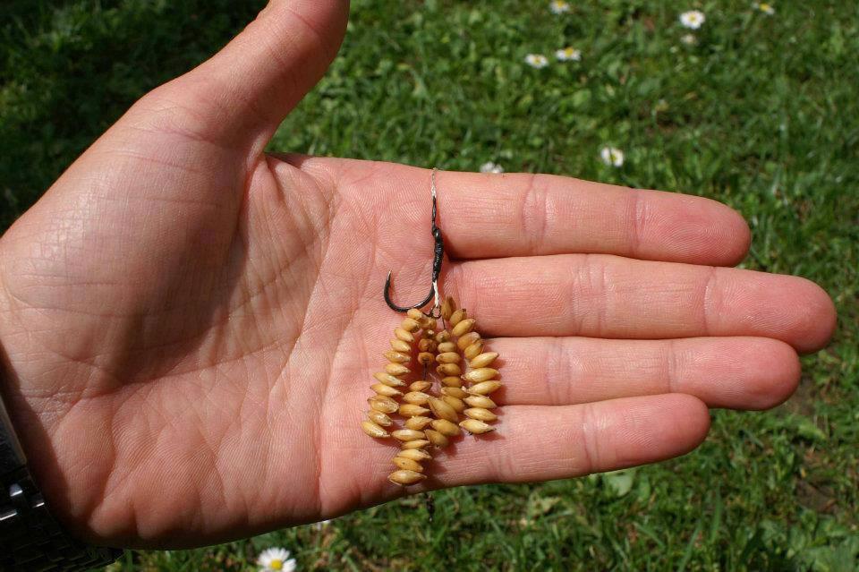 Crap de sete!!! :)  - 1012836491447270938648585261042n.jpg